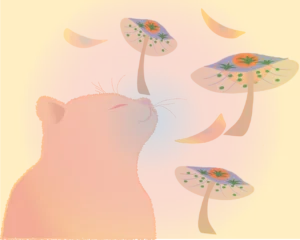 Read more about the article Cat warm smell