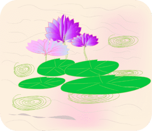 Read more about the article Lotus Colour explosion