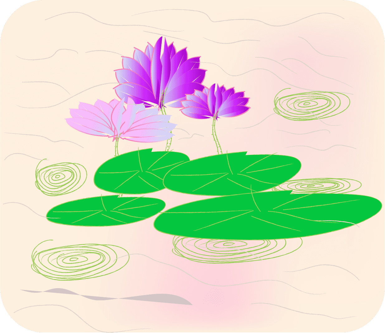 Lotus Colour explosion